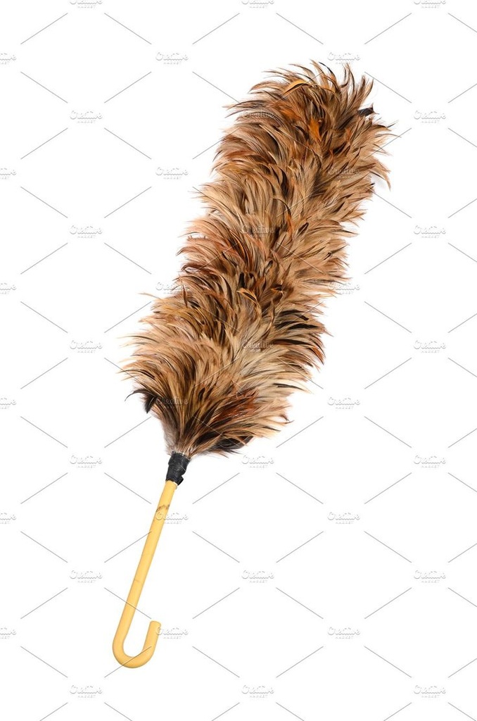 Chicken Feather Duster